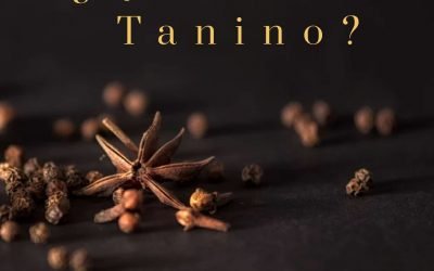 ¿Qué es el Tanino?